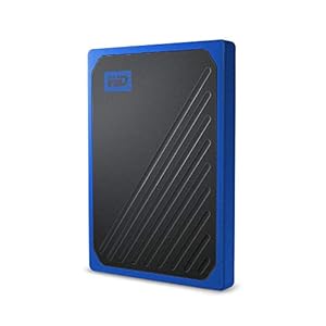Western Digital Wdbmcg0010Bbt-Wesn Passport Go Solid State Drive, 1Tb, Blauw