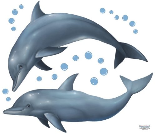 Create-A-Mural Dolphin Wall Decals