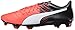 Puma Men's Evopower 3.3 Tricks Fg Soccer Shoe
