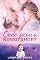 Livro Onde ficou o nosso amor?