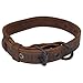 Slim Leather Dog Collar for Small Size Dog (12 to 15.5 Inches) Handmade by Hide & Drink :: Bourbon Brown