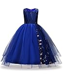 Big Dresses for Girls Size 12-14 for Wedding Floor Length Formal Tulle Ball Gown Party Prom Princess Pageant Elegant Bridesmaid Dresses Floor Len Girls 7-16 15 Years Age of 14 Teen Girl (Sapp 170)
