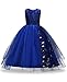 Big Dresses for Girls Size 12-14 for Wedding Floor Length Formal Tulle Ball Gown Party Prom Princess Pageant Elegant Bridesmaid Dresses Floor Len Girls 7-16 15 Years Age of 14 Teen Girl (Sapp 170)