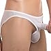 FEESHOW Men's Soft Long Sheath Sleeve Bikini Briefs Pouch Underwear G String Thongs