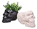 Streamline Imagined Skull Bone Planter