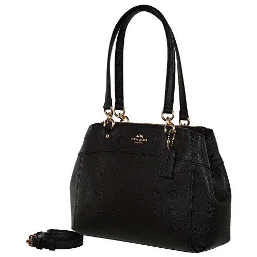 mini brooke carryall coach