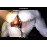 Mettle: Series 1: Reconstruction