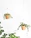 Mkono Plant Hanger Metal Hanging Planter Modern Home Decor, (Flower Pot Not Included)