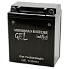 Motorfiets batterij gel 12 V 12 AH – 51211-12N-12A-4A-1 – YB12A-A – CB12A-A – 512011012 – GEL-technologie