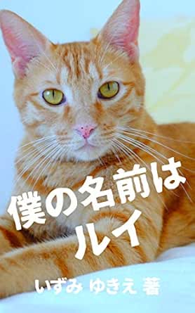Bokunonamaeharui Umarerumaeninekonokamisamatachitokimetanamae Japanese Edition Kindle Edition By Yukie Izumi Yukie Izumi Religion Spirituality Kindle Ebooks Amazon Com