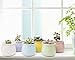 Mkono 3.5-Inch Ceramic Succulent Plant Pots Small Cactus Planter Modern Flower Pots, Set of 6 in Different Color