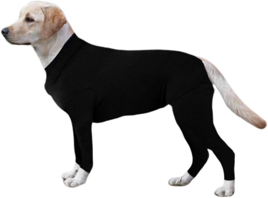 dog cone collar target