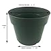 Panda Pots 50 Plant Pots - 4 Inch - 100% Recycled Plastic - Made in USA - Strong, Reusable Trade; (Green)