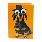 Hallmark Shoebox Funny Halloween Card