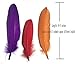 Dxeud Colorful Goose Feathers 100pcs/pack/(10pcs X10colors) (6-8 inch)