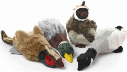 cute toy poodle puppies