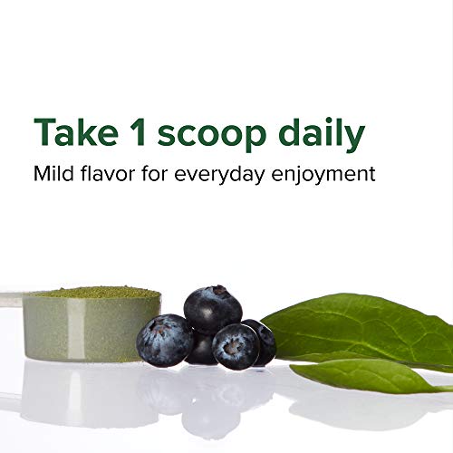 Green Vibrance Superfood Powder - Image 6