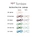 Tombow Dual Brush Pen Art Markers, Landscape, 6-Pack