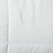 Elegant Comfort Down Alternative Silky-Soft Double-Fill Comforter Duvet Insert Full/Queen, White