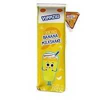 Yummzies Banana Milkshake Carton Styled Pencil Case