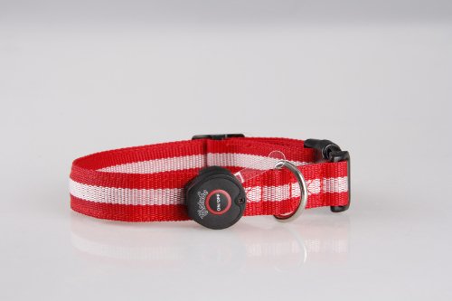 WalGap (TM) LED Flashing Lights Dog Collar Nylon (Red, Small)