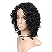 WIGNEE Remy Human Hair Afro Kinky Curly Wigs for Women Afro Full Wigs with Free Wig Cap (10 inch)