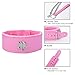 AOTENG STAR PU Leather Fur Collars Choker with Chain Detachable Leash for Women-Pink