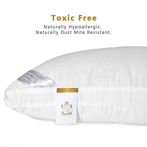 D & G THE DUCK AND GOOSE CO Ultra Soft & Slim Pillow (King 2 Pack