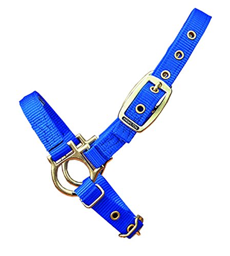 Halter Sheep Adj Blue 35Da