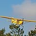 Flyzone Piper Super Cub Select Scale Ready-to-Fly (RTF) RC Airplane
