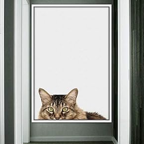 signwin Framed Canvas Wall Art Cat Animals Cat...