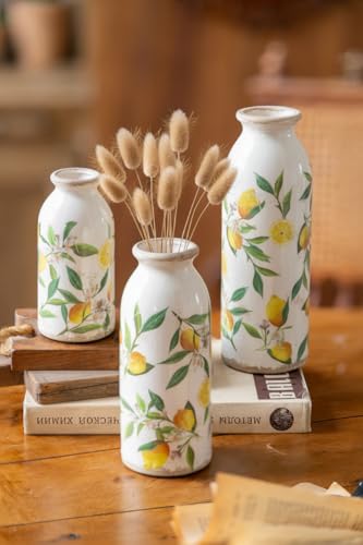 Teweiqi Vintage Ceramic Flower Vases Set of