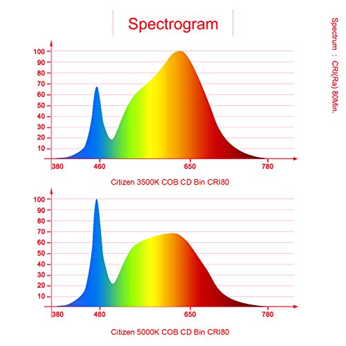 Dimmable COB Full Spectrum LED Grow Light 800W Citizen Bridgelux Indoor LED Plant Grow Lamp for Hydroponics Greenhouse Plant All Stage Seeding Veg & Flower Growing Dimmable COB Full Spectrum LED Grow Light 800W Citizen Bridgelux Indoor LED Plant Grow Lamp for Hydroponics Greenhouse Plant All Stage Seeding Veg & Flower Growing