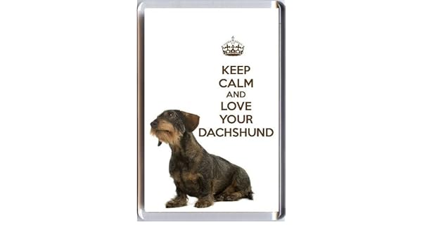 Amazon Com Yummy Grandmummy Wire Haired Dachshund Dog Image