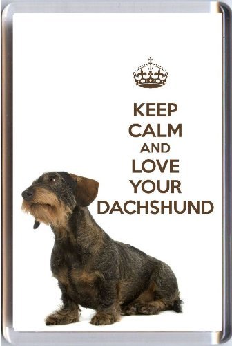 Amazon Com Yummy Grandmummy Wire Haired Dachshund Dog Image