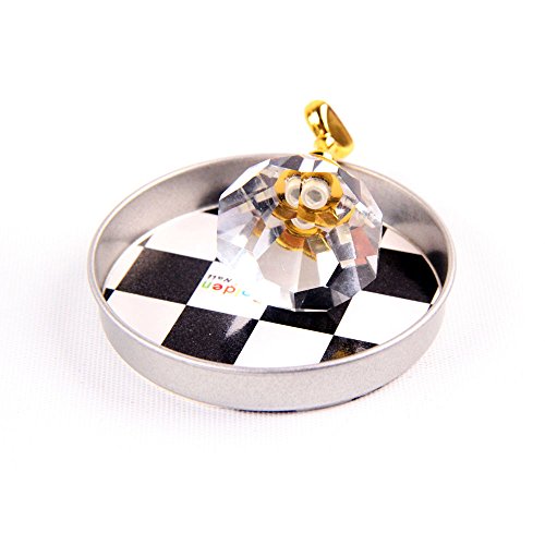 BQAN 12Pcs Chess Board Magnetic Nail Tip Crystal Stand Set Salon Display Holder Set