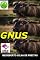 Livro Gnus