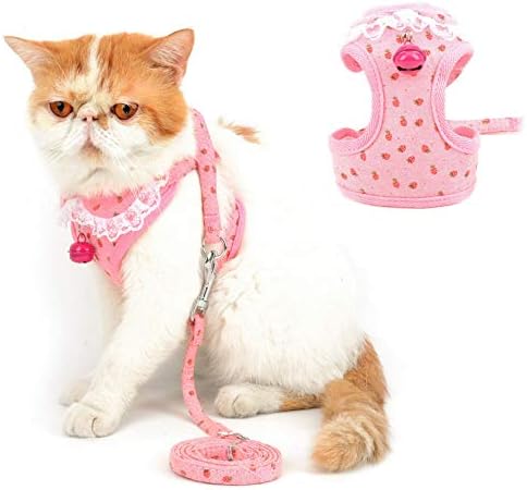 SELMAI Escape Proof Cat Harness with Leash for Small Dog Mesh Vest Harness for Walking Training Leads No Pull for Puppy Chihuahua Dachshund Hiking Jogging Outdoor