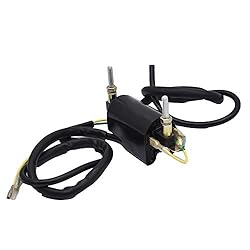 labwork Dual Lead Wire Ignition Coil 12Volts