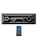 Blaupunkt Freiburg 130 Car Radio with CD Tuner/USB/AUX