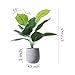 U'Artlines 2 Pack Artificial Plants Topiary Shrubs Fake Plants with Gray Pot for Tabletop Bathroom House Decoration