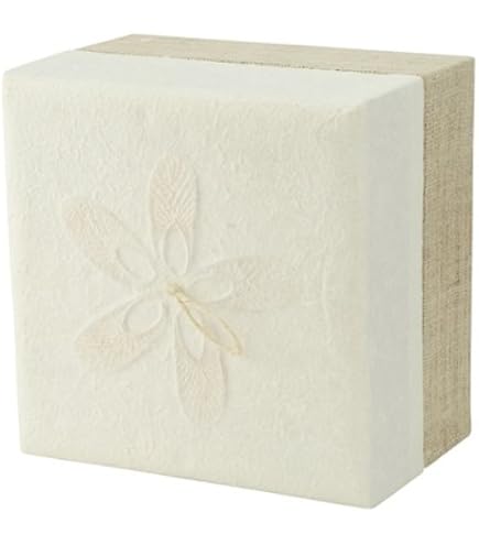 Urna Nicho Funeraria Para Cenizas De Cremación 16 $ 1.450 En Gustavo A