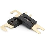 Baomain ANL Fuse ANL-250 250 Amp 250A for Car Vehicles Audio System Sheet Gold Tone 2 Pack