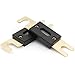 Baomain 2-Pack 250A ANL Fuse Bulk Value Pack with Gold-Plated Terminals for Car Audio, Amplifier, Truck, Boat, RV - 12V/24V Circuit Protection