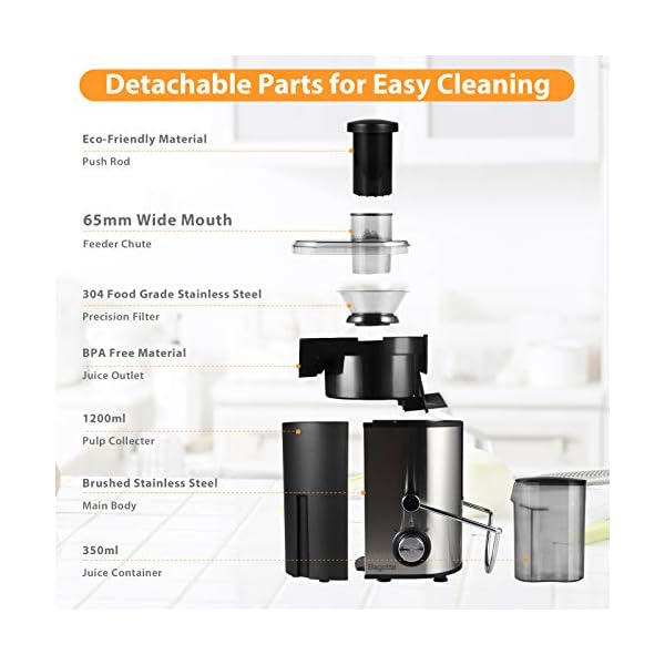Juicer, Bagotte Juicers Whole Fruit and Vegetable Easy Clean, 600w, Stainless Steel Juicer Machine with Wide Mouth, Dual…