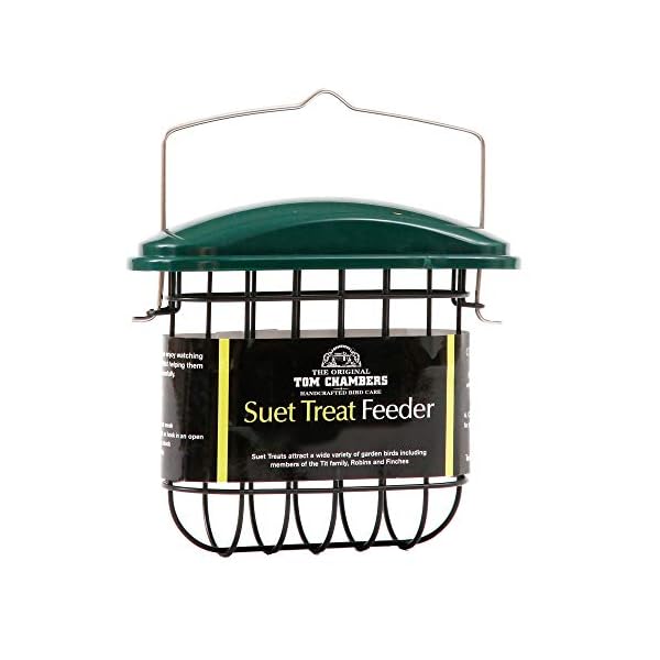 Tom Chambers - Mangiatoia per uccelli (Taglia unica) (Verde/Nero)