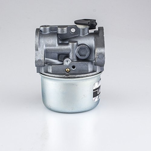 UMPARTS UMB-301 Carburetor for Briggs & Stratton 498170 497586 497314 498254 497347 497410 698444 694202 799868 with Gasket & O-Ring, 4-7 hp Engines with No Choke