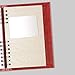 Brownline 2020 CoilPro Daily Appointment Book/Monthly Planner, Bright Red, 8 x 5 Inches (CB634C.Red -20)