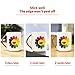 500-Pcs Featured Stickers,Suitable for Children and Teens of All Age,Decals Vinyls for Laptop,Kids,Cars,Motorcycle,Bicycle,Skateboard Luggage,Bumper
