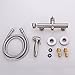 HANEBATH Handheld Toilet Bidet Faucet Sprayer Kit, Brushed Nickel